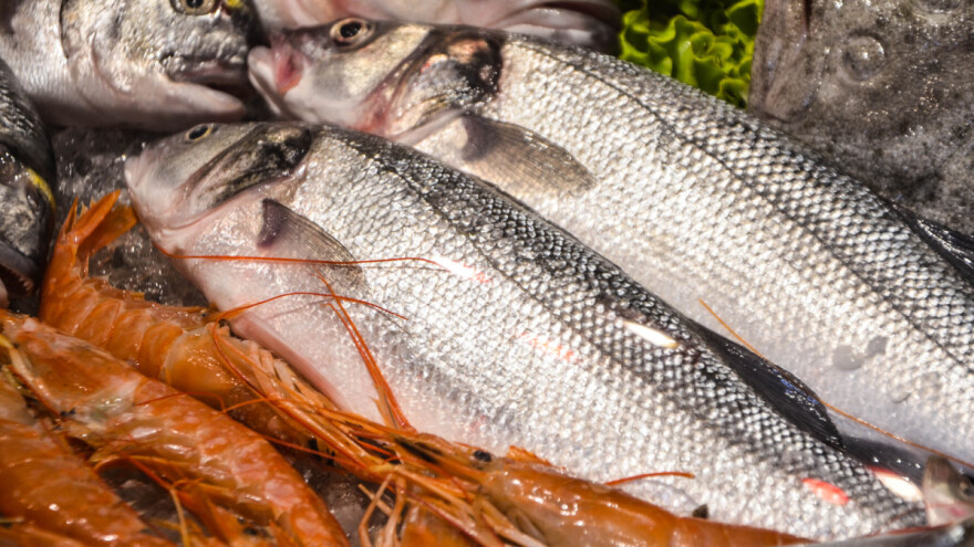 Objavljen Pravilnik za mjeru IV.4 Prerada proizvoda ribarstva i akvakulture