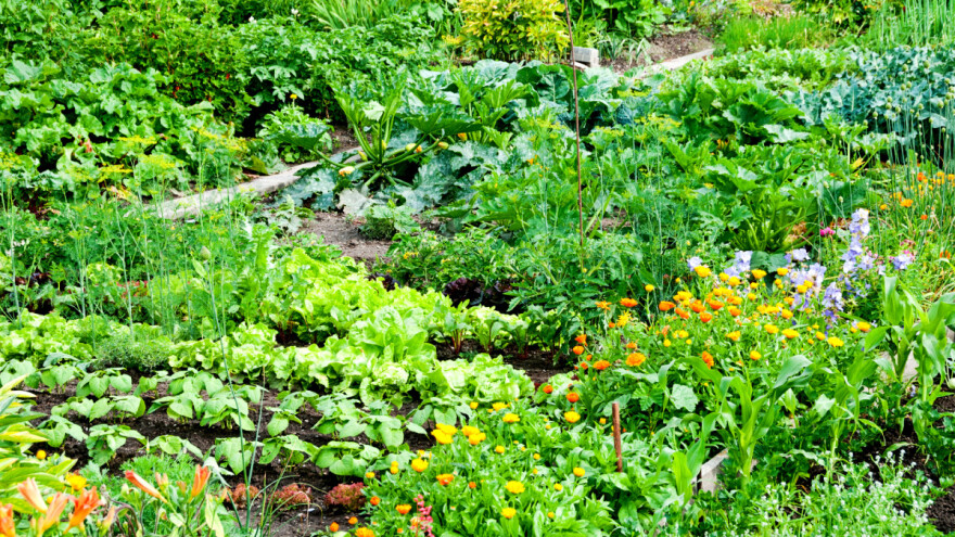 Biodinamički kalendar pokazuje najbolje dane za poljoprivredne radove?