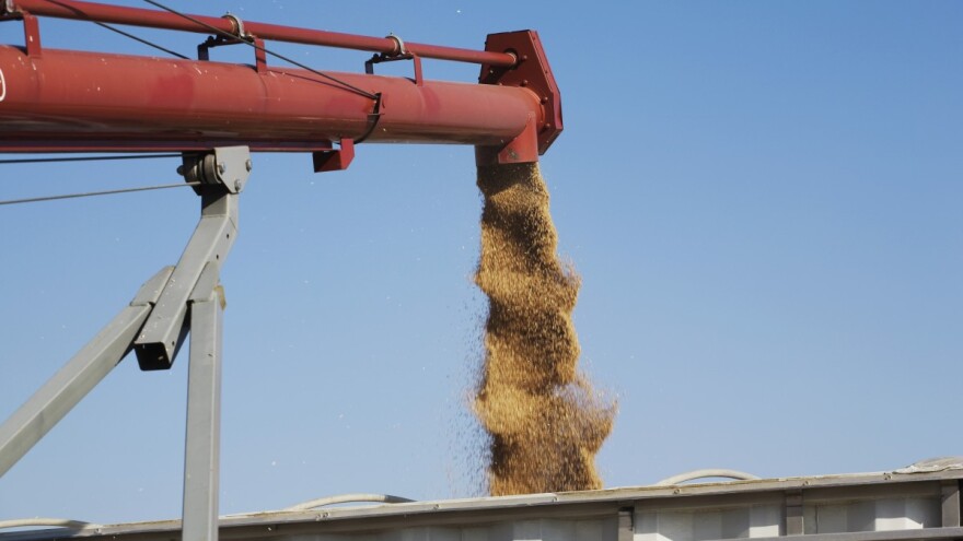 Skočile cijene žitarica zbog blokade crnomorskih luka