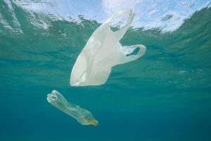 Plastika i u novootkrivenoj vrsti rakova!