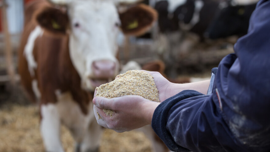 Proizvođači stočne hrane traže odštetu zbog smanjenja populacije životinja