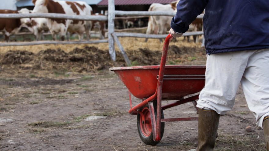 Upišite datum: Najavljen prvi Dubravski stočarski sajam