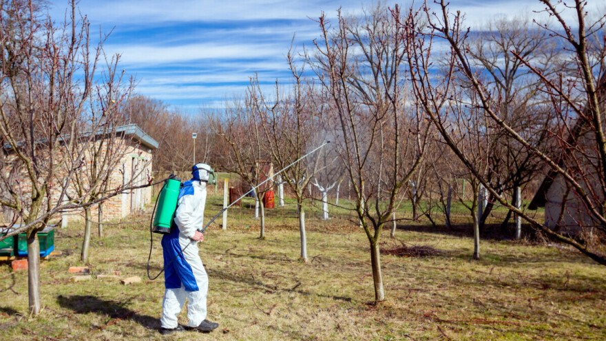 Koje bolesti jabučastog voća sprječavamo plavim prskanjem?