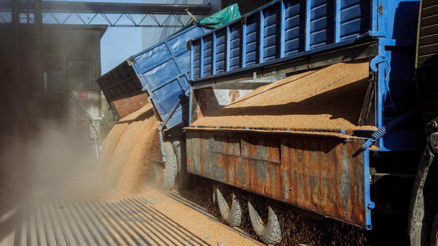 Protekle nedelje najviše se trgovalo pšenicom, njena cena i dalje beleži rast