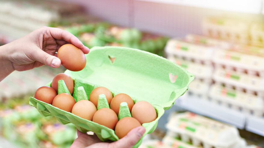 Najavljen pojačan inspekcijski nadzor tokom ljeta