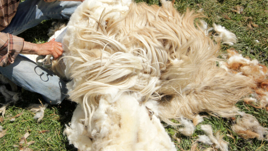 Vuna može biti organsko đubrivo