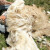 Prvi nacionalni dan vune u Srbiji 9. aprila na Zlatiboru