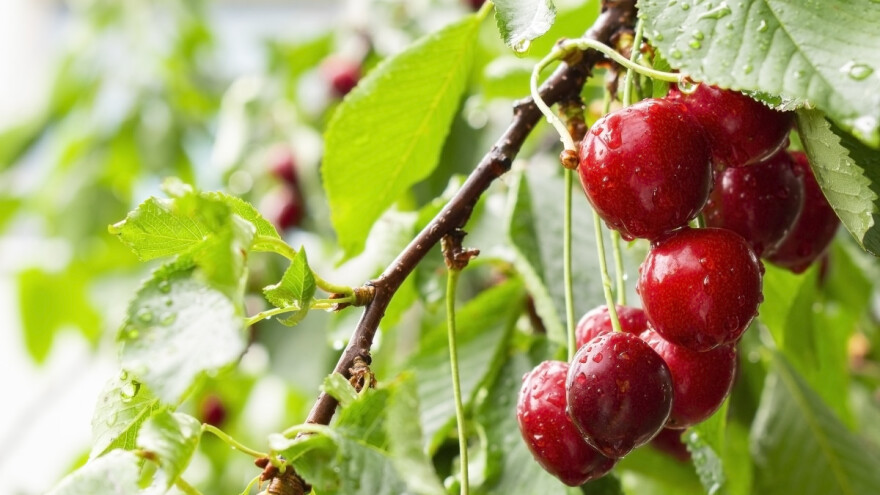 Stiže promjena: Kome će pogodovati vremenske prilike ove sedmice?