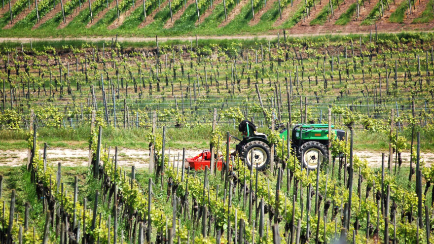 Za unapređenje biljne proizvodnje u Vojvodini 392 miliona dinara. Otvoren konkurs