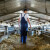 Značaj proizvodnje mlijeka za Bosnu i Hercegovinu - gordost i predrasude