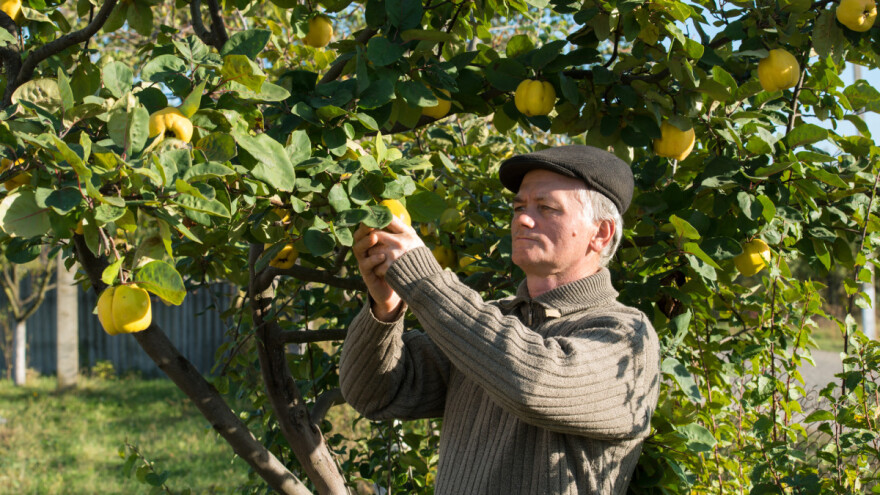 U subotu stiže jesen i donosi kišu, ali neće biti tmurna