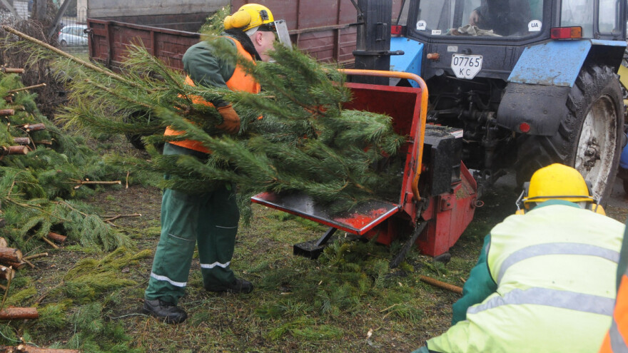Top 10 ideja - kako iskoristiti božićno drvce nakon blagdana?
