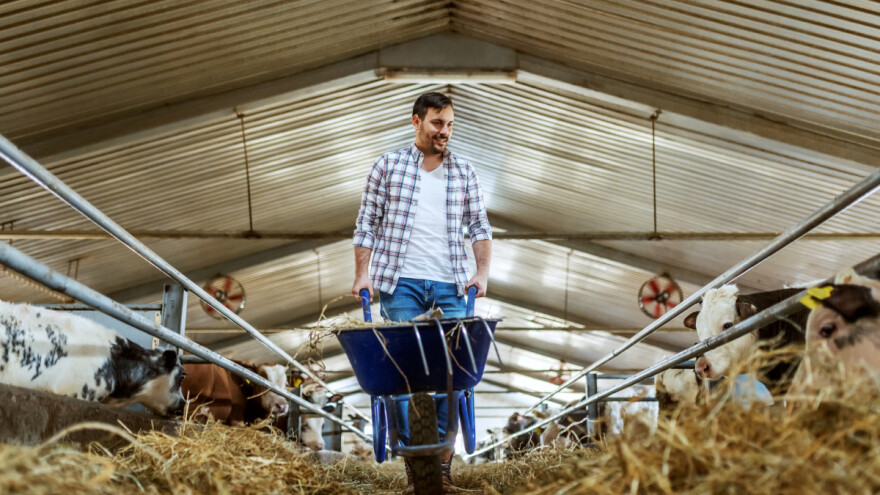 Indikativni plan 2021: Evo kad očekivati koji natječaj sljedeće godine