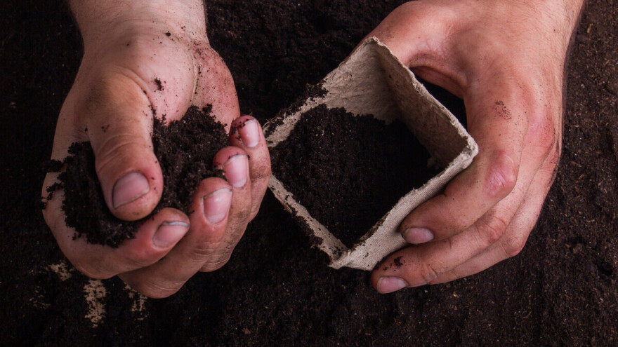 Kakvu zemlju odabrati za setvu, a da osiguramo dobar rast biljaka iz rasada