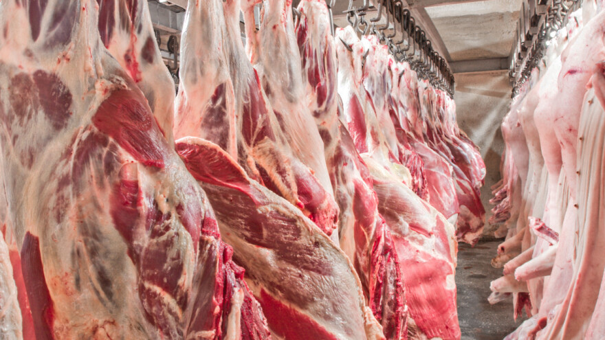 Zaštitne mjere trebaju obuhvatiti i zemlje CEFTA-e, da ne bi došlo do nekontrolisanog uvoza