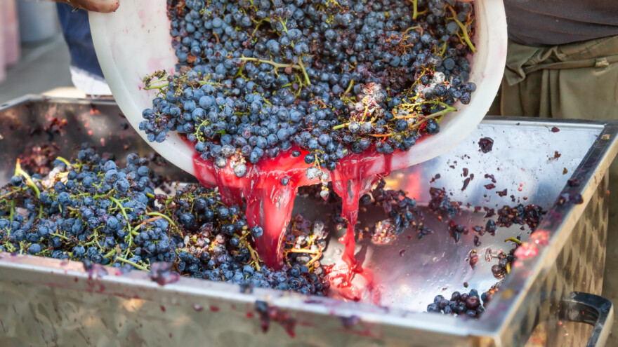 Prihodi vinara 908 milijuna kuna - prednjači istarska tvrtka