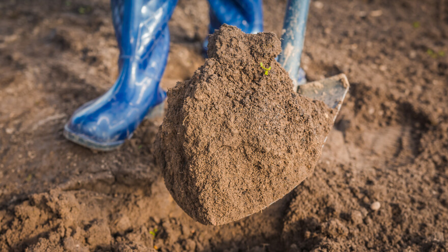 Kako se uzima uzorak zemljišta za analizu?