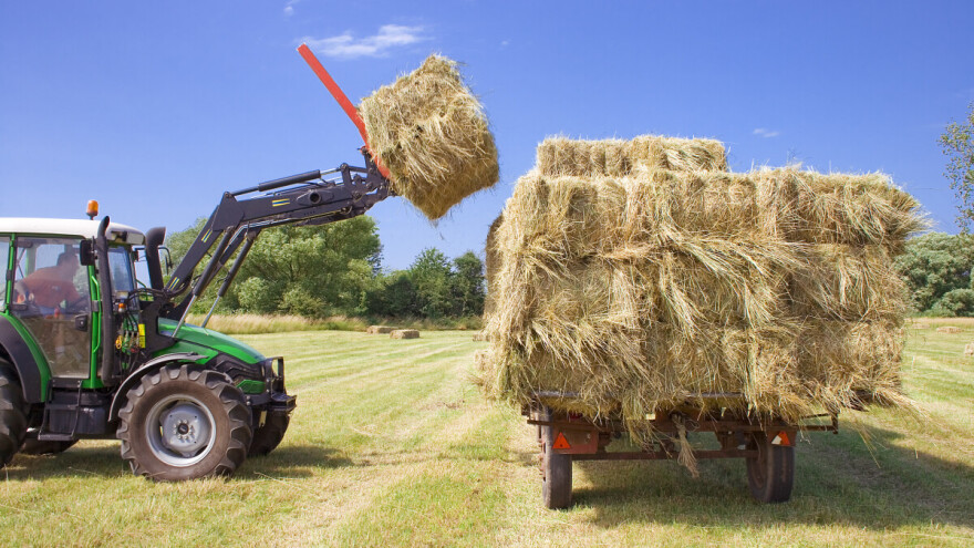 Ove godine nešto drugačiji "cjenovnik" baliranog sijena
