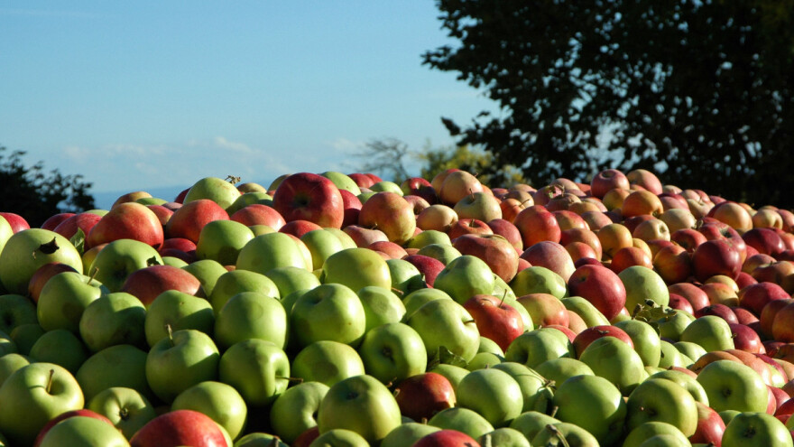 Kojih je TOP 10 zemalja u globalnoj proizvodnji jabuka?