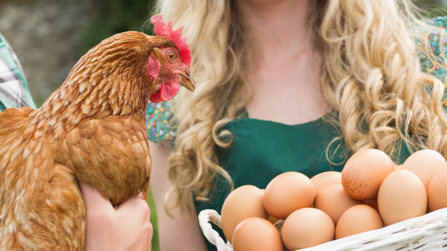 Veliko interesovanje za srpsku organsku hranu- naučite nove tehnike prodaje