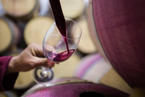 Pada proizvodnja vina u EU: Italija više nije najveći globalni proizvođač?