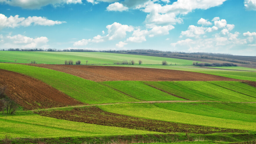 Zakup državnog poljoprivrednog zemljišta u pojedinim opštinama Vojvodine