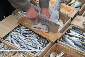 Ulov i uzgoj morske ribe pao za 6,5 posto, a cijene porasle - što je sa slatkovodnom?