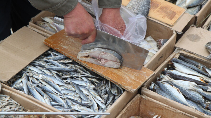 Ulov i uzgoj morske ribe pao za 6,5 posto, a cijene porasle - što je sa slatkovodnom?