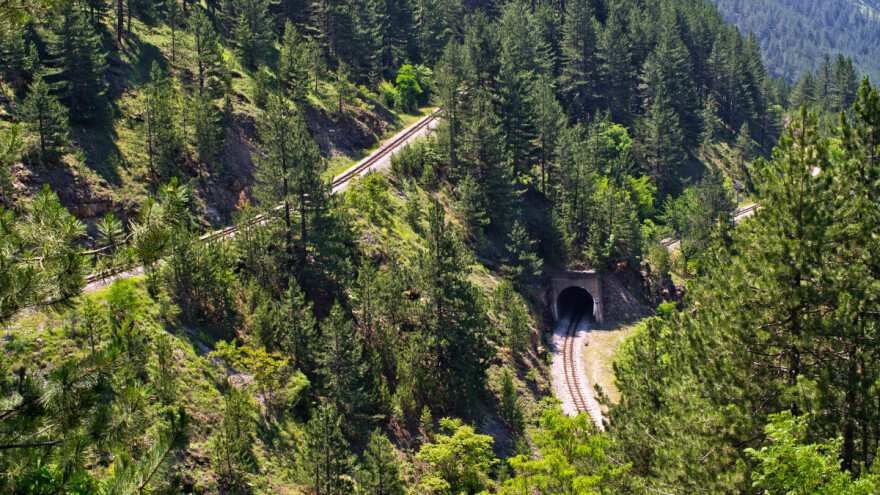 Šumama pokriveno 43% EU - u BiH šumovitost 1,38 ha po stanovniku