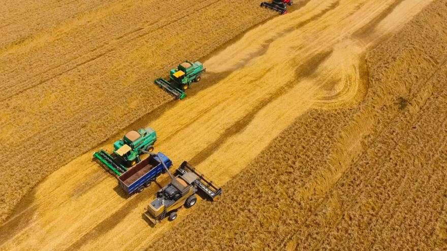 Rusija će ove sezone izvesti povijesne količine žitarica - vraća se na tron?