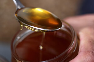 Kako koristiti med u poljoprivredi? Kao biostimulans i đubrivo