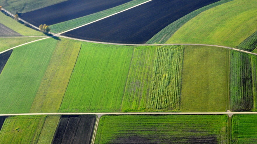 Jedna parcela, 16 suvlasnika - 10 preminulo, 2 iselilo, a 4 se posvađalo