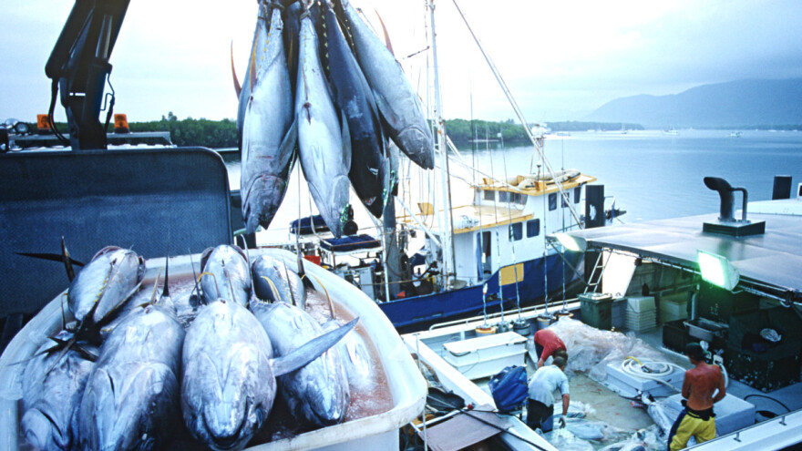 Kunjašić: Pupić Bakrač u svojim istupima o uzgajalištima tune ne govori istinu