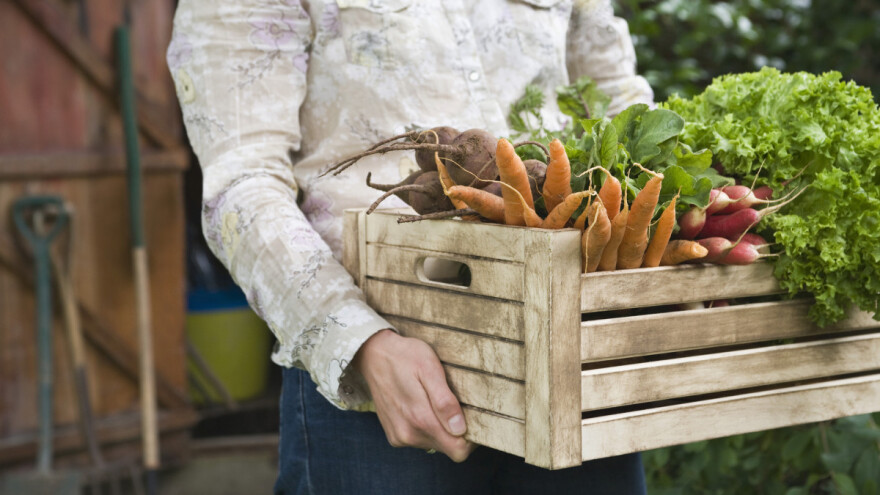 Otvoren 18. festival organskih proizvoda "Biofest" u Subotici