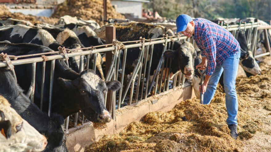 Za farmere u RS i naredne godine premije po grlu i litru mlijeka