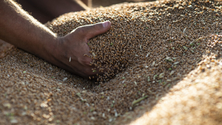 Od danas se prekida proizvodnja hljeba, do stabilzacije cijena pšenice