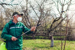 Jesensko tretiranje voćnjaka ureom - na što treba paziti?