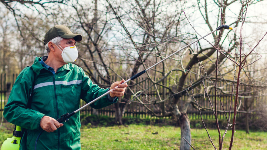 Jesenje tretiranje voćnjaka ureom - na šta treba paziti?