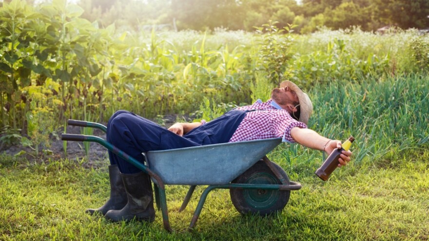 Kako se rešiti mamurluka - šta pomaže osim rasola?