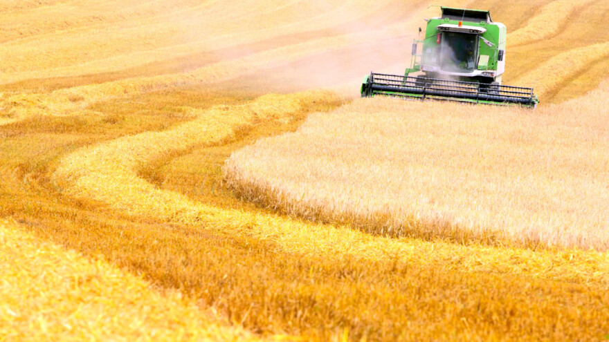 Pale cijene žitarica i ulja, a što je poskupjelo?