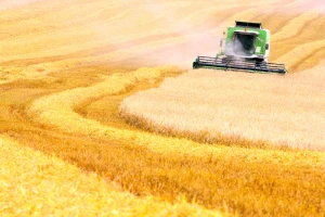 Pale cijene žitarica i ulja, a šta je poskupilo?