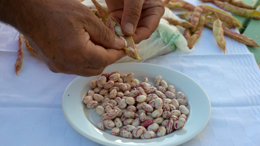 Grah naš svagdašnji: Papa Franjo mahunarke nazvao plemenitom hranom