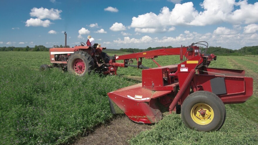 Stočari, ne kasnite s prvim otkosom - kvaliteta je važnija od količine