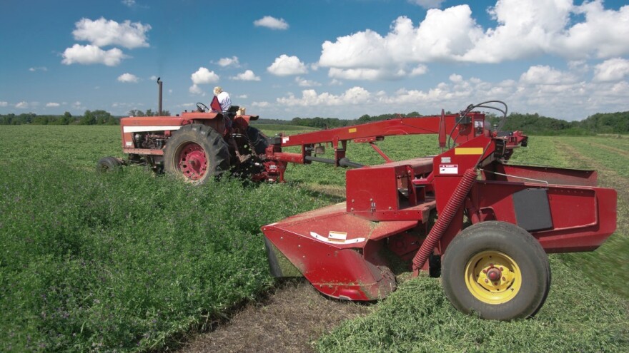 Stočari, ne kasnite s prvim otkosom - kvaliteta je važnija od količine