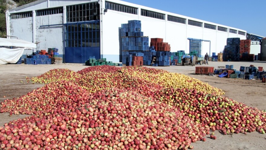 Osumnjičeni za nezakonit uvoz voća i povrća pušteni na slobodu, određene mjere