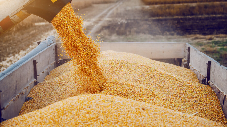 Stagniraju cijene na tržištu žitarica - a za što rastu?
