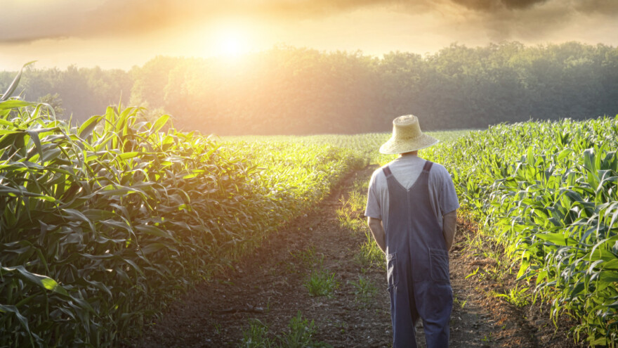 Prošao na natječaju za državno zemljište, dobio suglasnosti, a onda je sve stopirao DORH?!