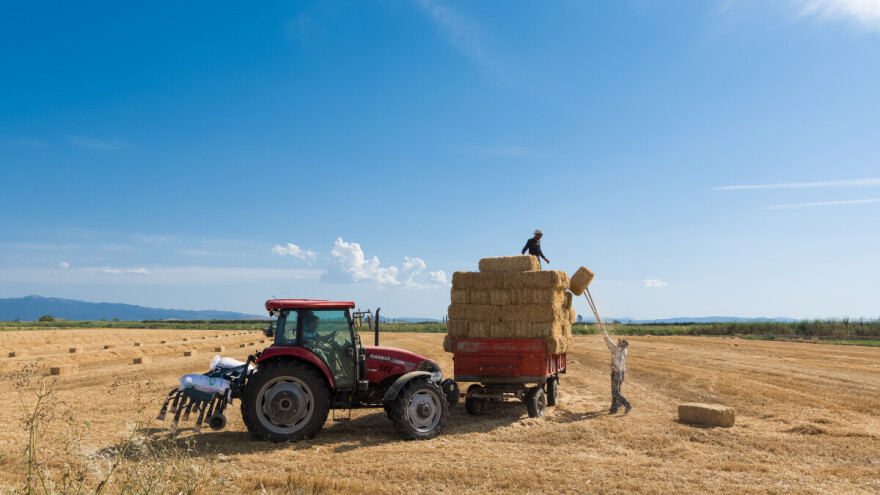 I dalje veoma toplo, bez padavina. Osveženje i pad temperature od petka