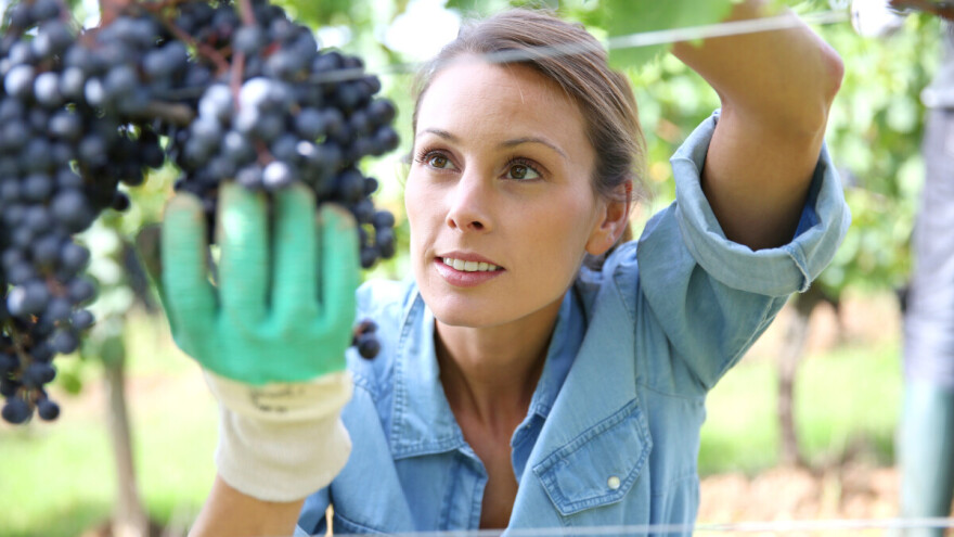 Sedam načina kako da se mladi zainteresuju za poljoprivredu