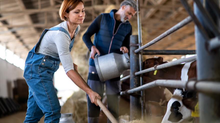 Selo bolje od grada? Objavljeni zanimljivi podaci o rodnoj ravnopravnosti u ruralnim područjima